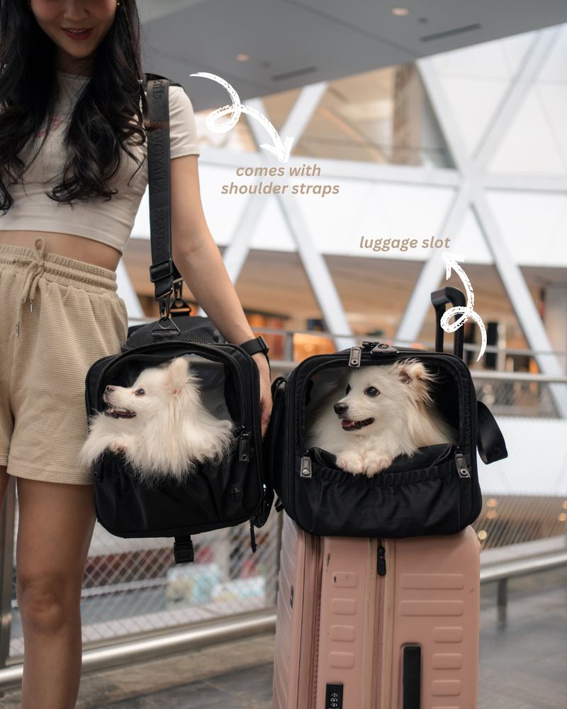 Pet Porter V2 Carrier (Airline Compliant)