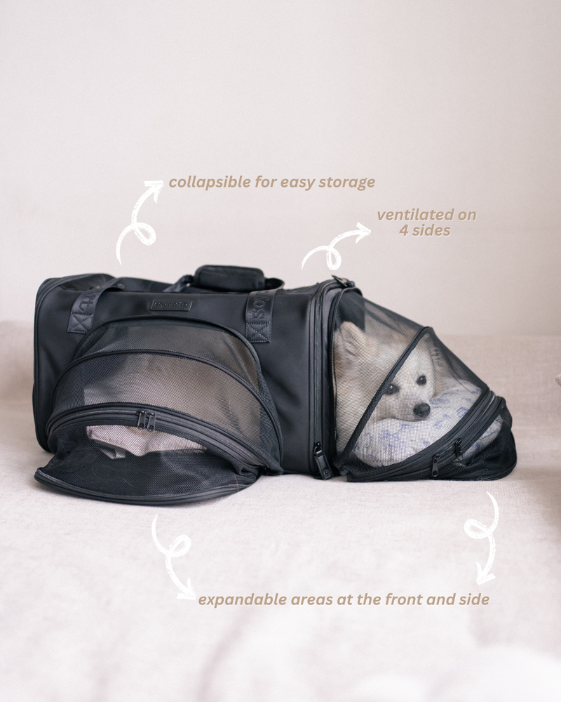 Pet Porter V2 Carrier (Airline Compliant)