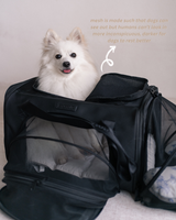 Pet Porter V2 Carrier (Airline Compliant)