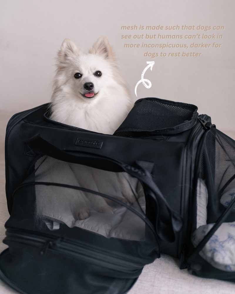 Pet Porter V2 Carrier (Airline Compliant)