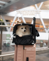 Pet Porter V2 Carrier (Airline Compliant)