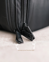 Pet Porter V2 Carrier (Airline Compliant)