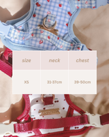 Fruité Edit: Harness and Leash Set
