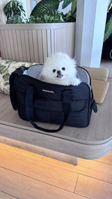 Earth // Pet Carrier