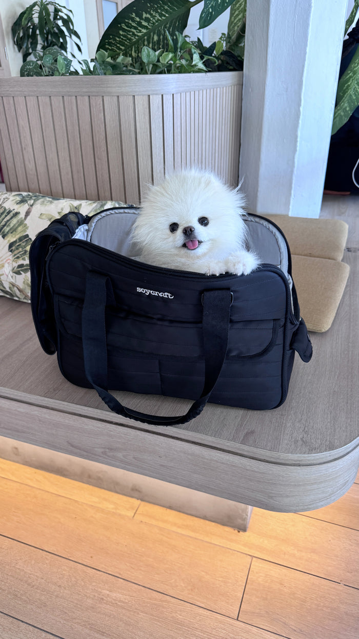 Earth // Pet Carrier