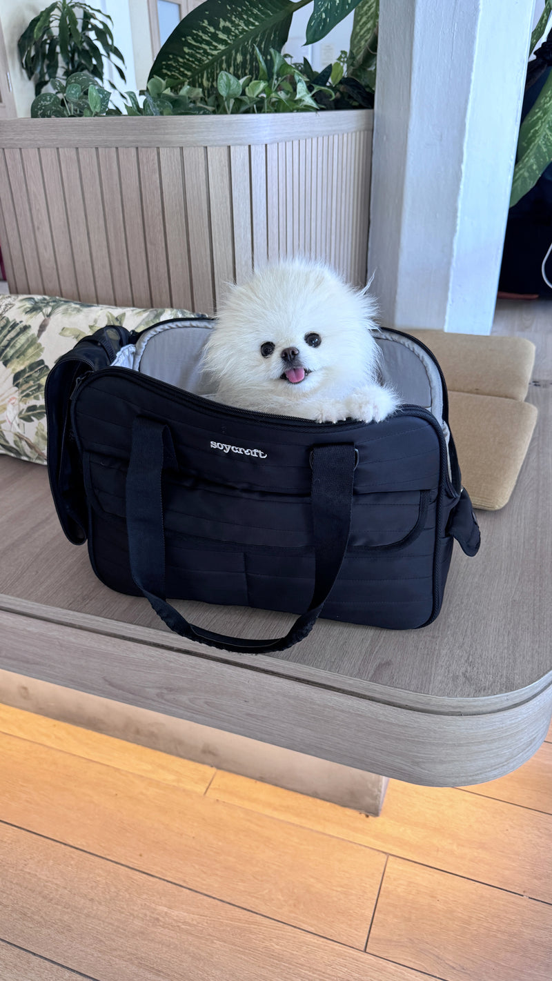 Cloud Edit Pet Carrier