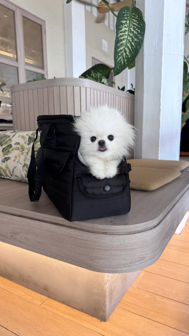 Cloud Edit Pet Carrier