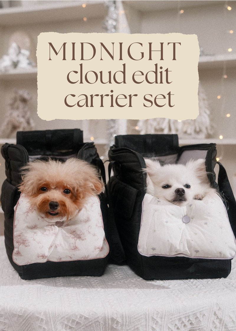 Two dogs in pet carrier sets