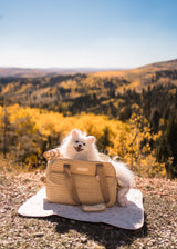 White fluffy dog sitting inside a woven carrier