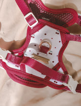 Fruité Edit: Harness and Leash Set