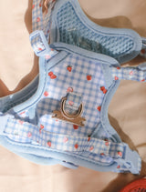 Fruité Edit: Harness and Leash Set