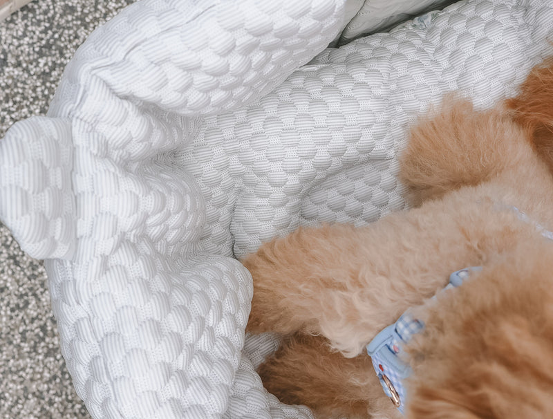 Cooling Pimp-My-Pram (for strollers)