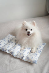 Rollie Pollie Edit Cushion