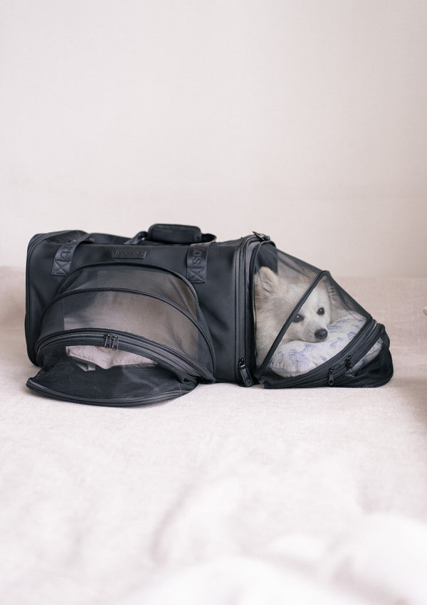 Pet Porter V2 Carrier (Airline Compliant)