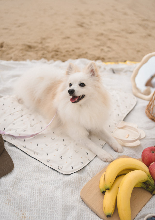 Baskie Place Mat (Waterproof)