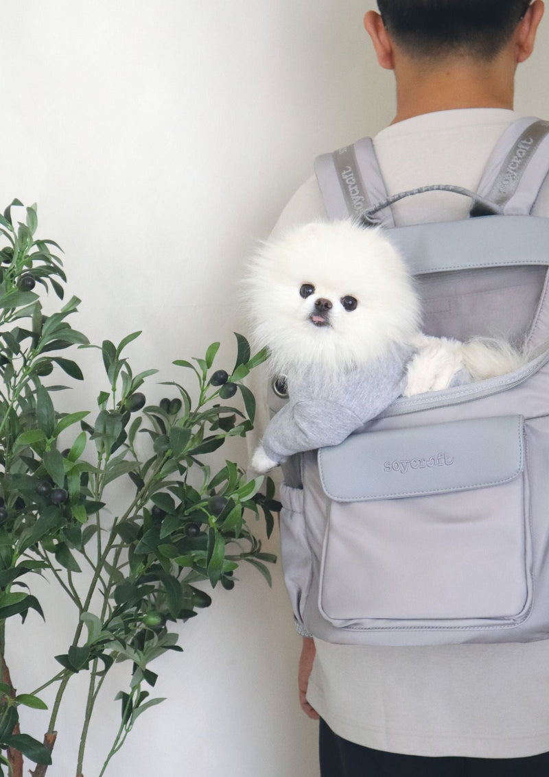Soyage Backpack