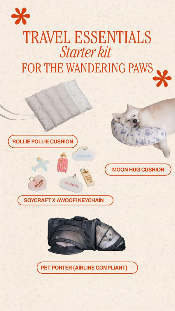 Wandering Paws Travel Kit