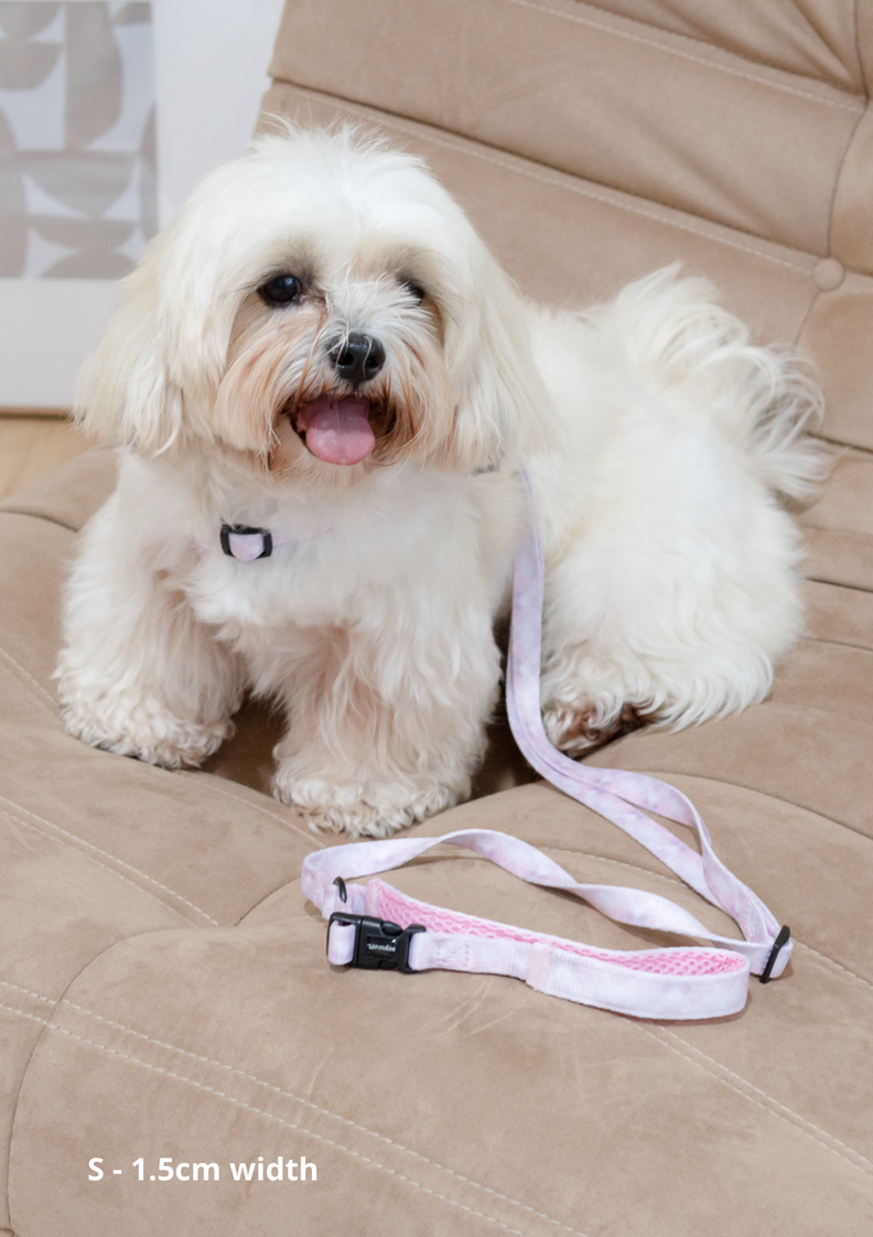 Adjustable Yona Leash - Pink and Blue