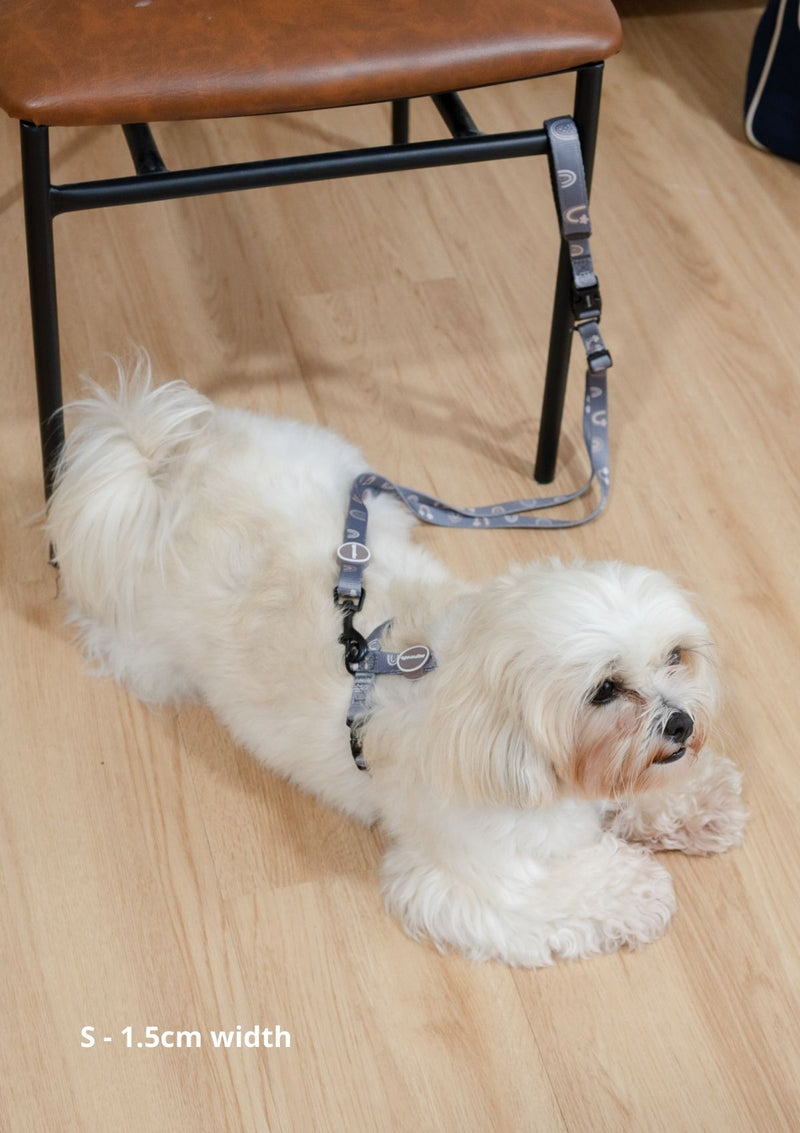 Hana Leash