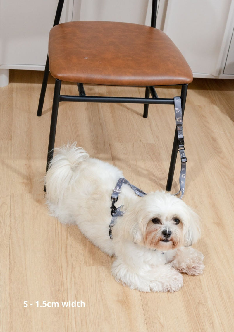 Hana Leash