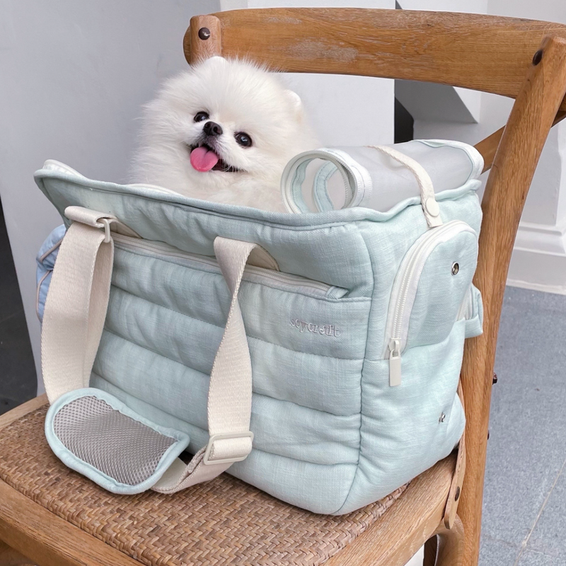 Soycraft pet carrier dog bag cat bag soy craft minty breeze