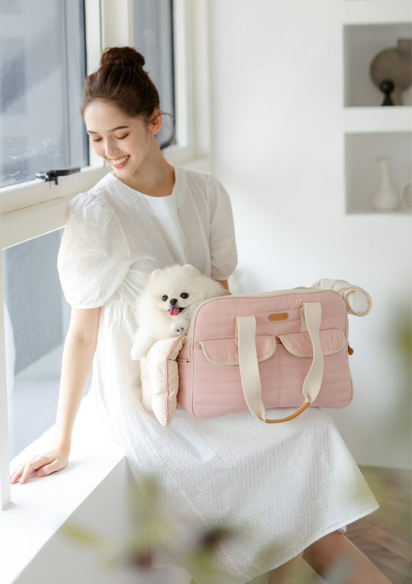 Cloud Pet Carrier (S size)