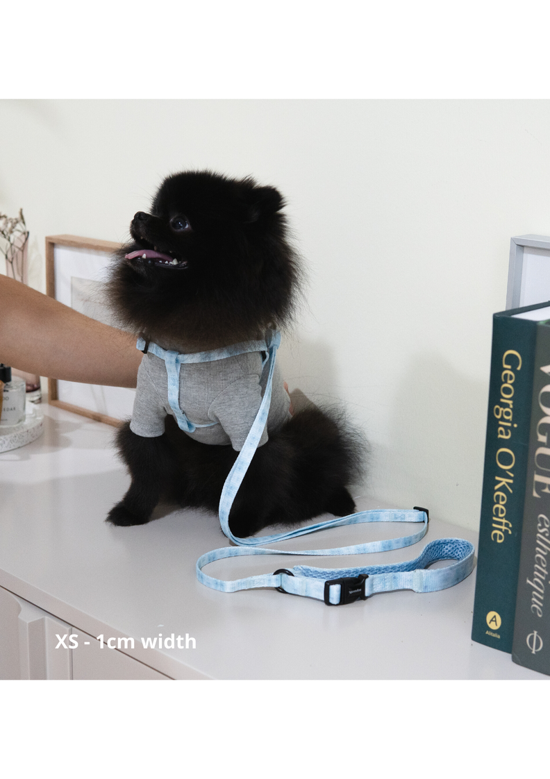 Adjustable Yona Leash - Pink and Blue