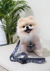 Hana Leash