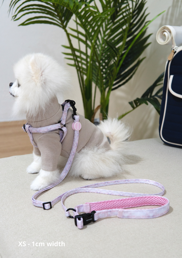 Yona Y-Harness + Leash