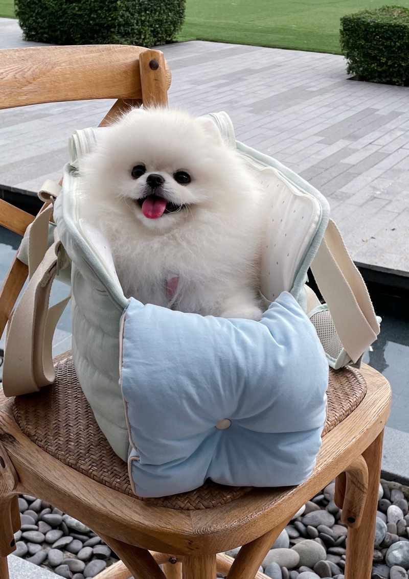 Soycraft pet carrier dog bag cat bag soy craft minty breeze