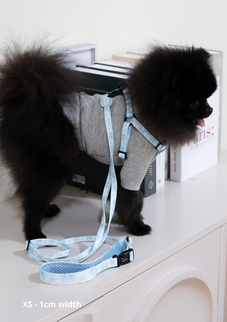 Adjustable Yona Leash - Pink and Blue