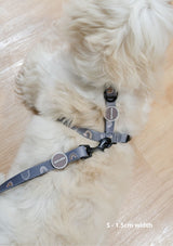 Hana Leash