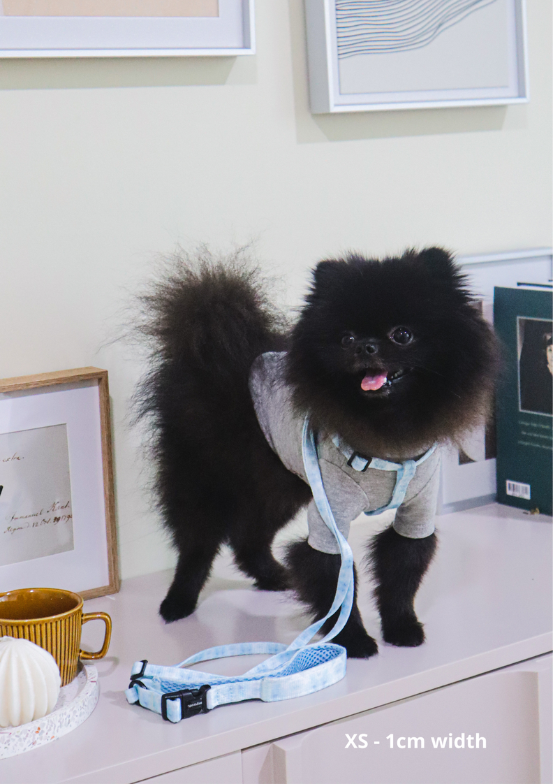 Adjustable Yona Leash - Pink and Blue