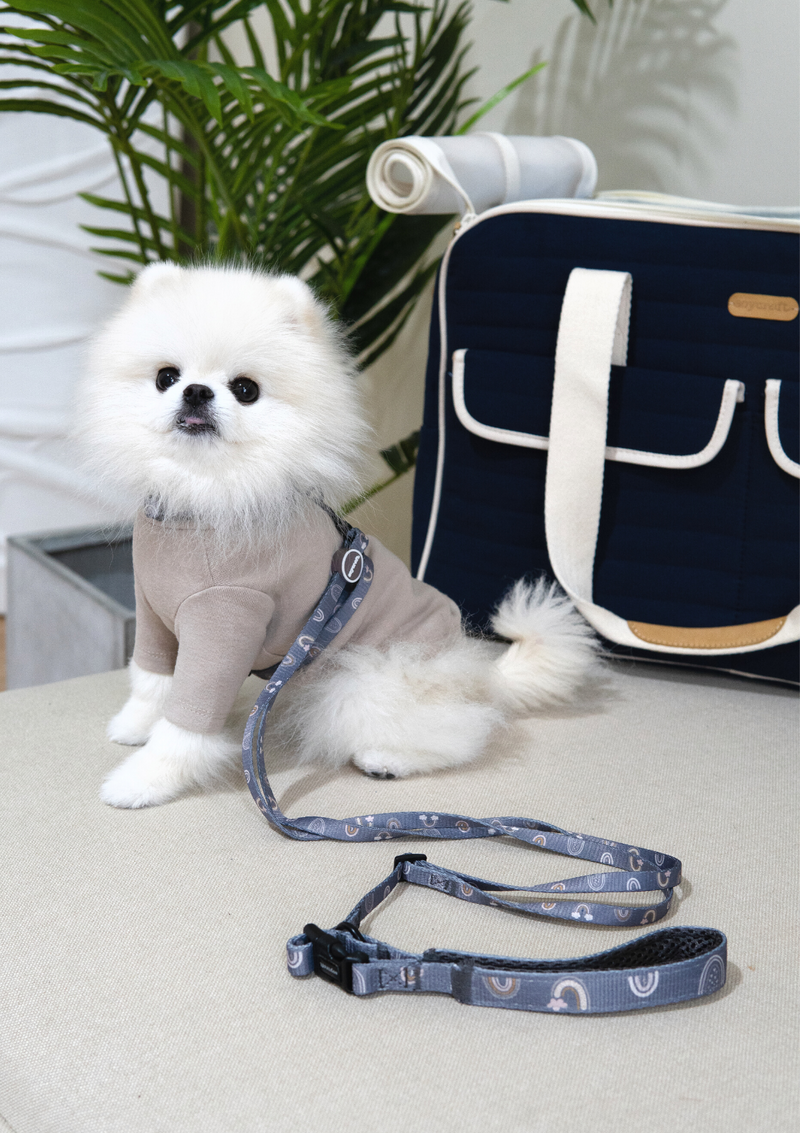 Hana Leash