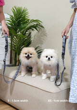 Hana Leash