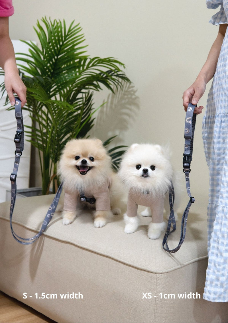 Hana Leash