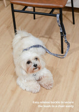 Hana Leash
