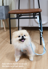 Adjustable Yona Leash - Pink and Blue