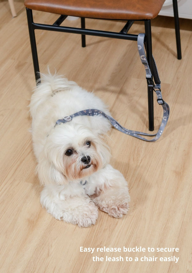 Hana Leash
