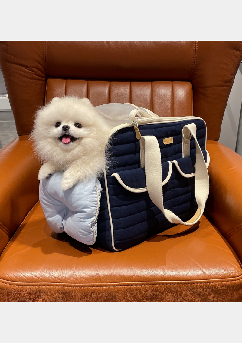 Cushion (M/L Bundle)