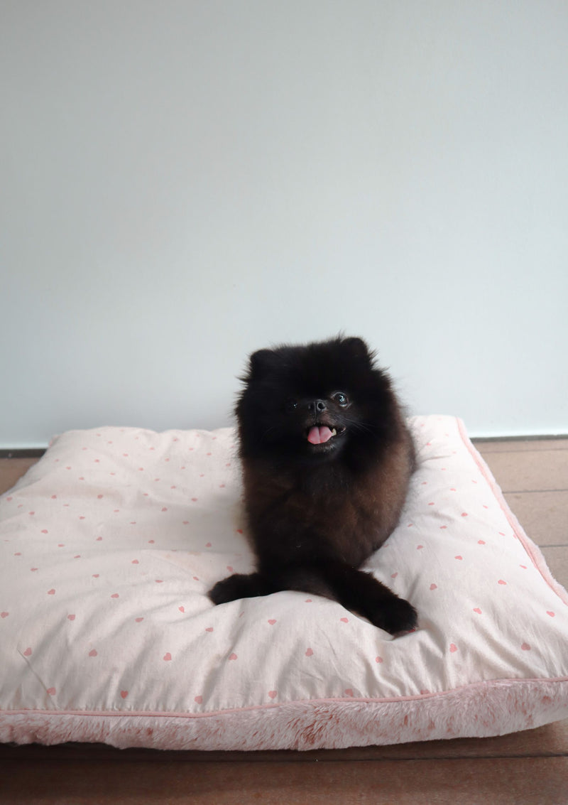 SoyCraft yume bed cushion korean singapore pet dog carrier