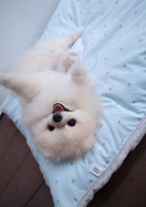 SoyCraft yume bed cushion korean singapore pet dog carrier
