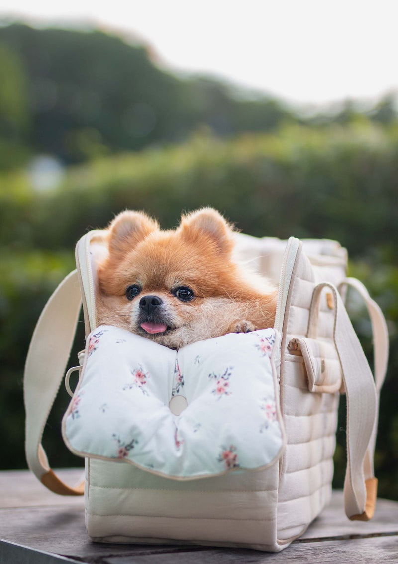 Cloud Pet Carrier (S size)